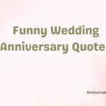 Funny Wedding Anniversary Quotes