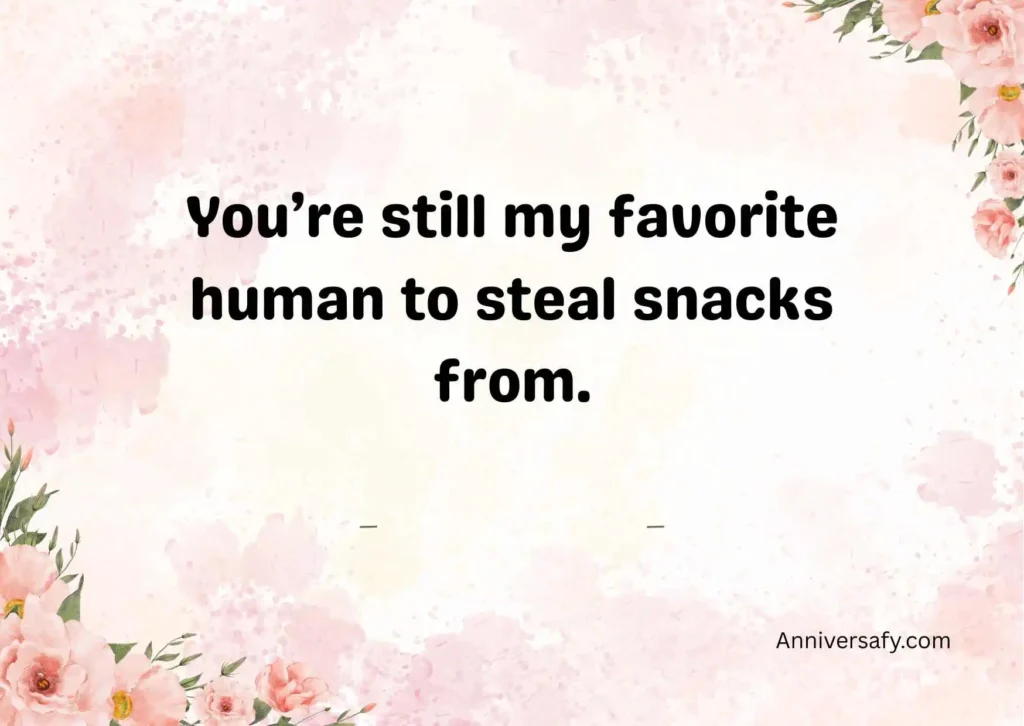 Funny and Lighthearted Quotes